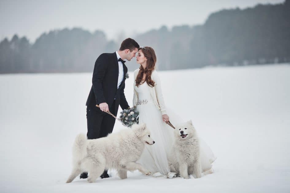 Thème mariage hiver