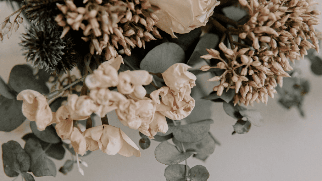 fleurs séchées