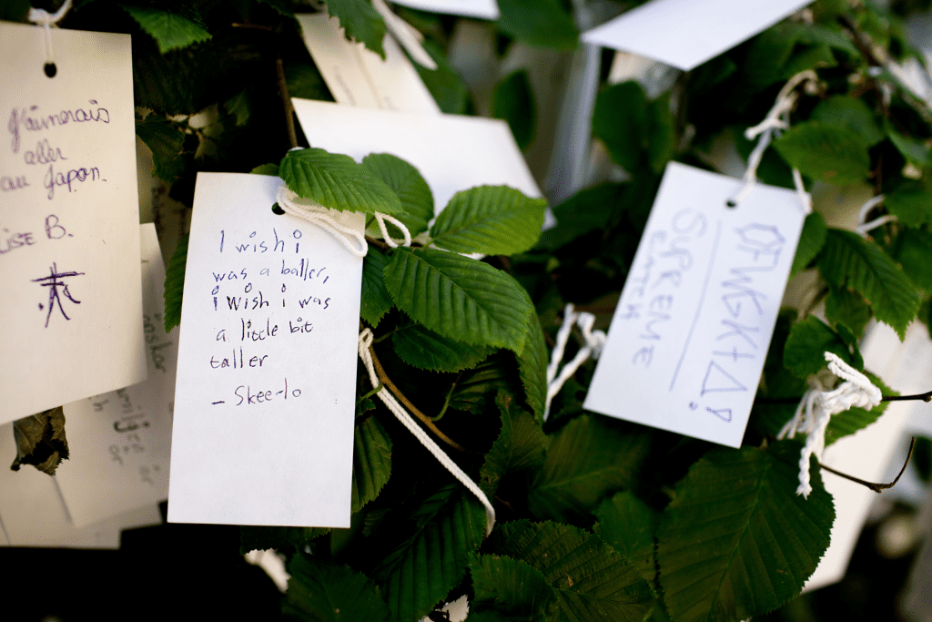 message dans un arbre a voeux
